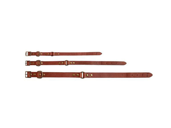 BALL AND BUCK Signature Leather Dog Collar $68 NWOT