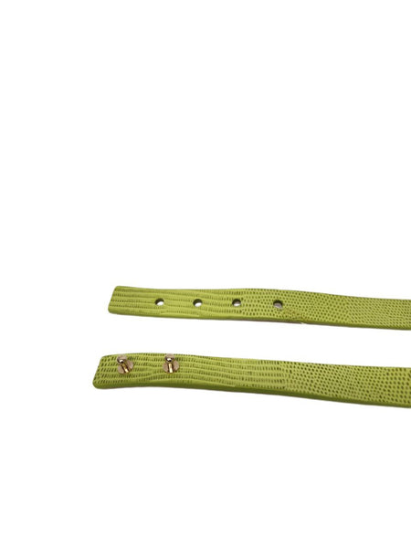 Max Mara Women's Pastel Green Pazzo Leather Buckle Closure Belt Size M NWT