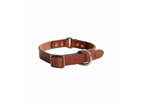 BALL AND BUCK Signature Leather Dog Collar $68 NWOT