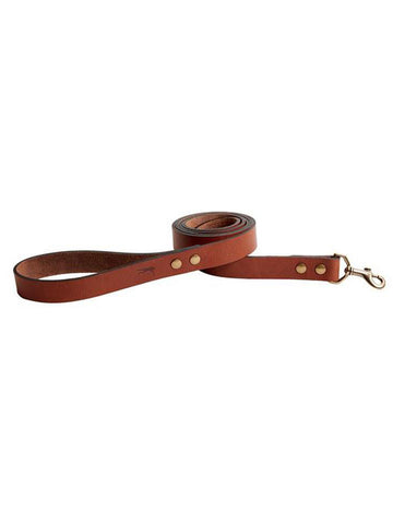 BALL AND BUCK Signature Leather Dog Leash $88 NWOT