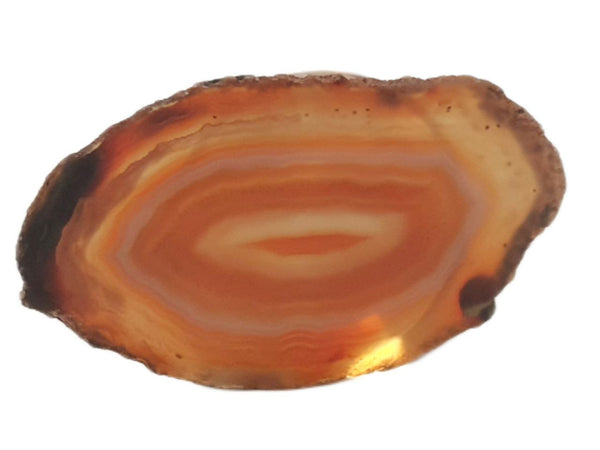 RABLABS Red Agate Bottle Stopper #GA002 Approx. L2" x W 1.5" NWB