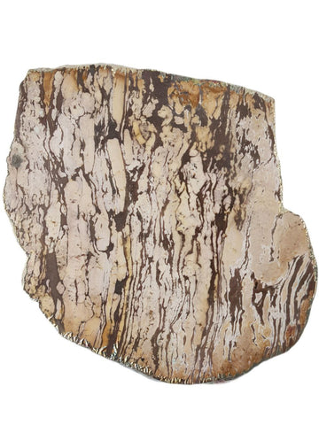 RABLABS Zebra Jasper Silver Natural Stone Platter #KM019 NWOB