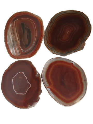 RABLABS Burnt Orange Agate Stone Coastera #PE0160 Approx. L 4" x W 3.5" NWB
