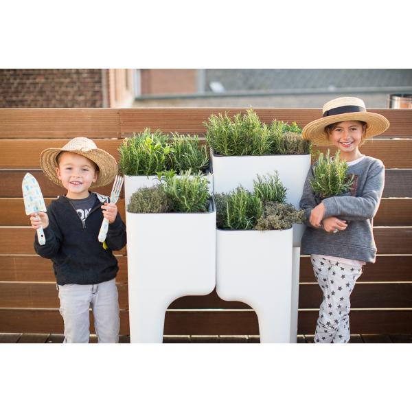 HURBZ Vegetable Spirit Kiga Contemporary Kitchen Garden Planter Table Sz XL $399